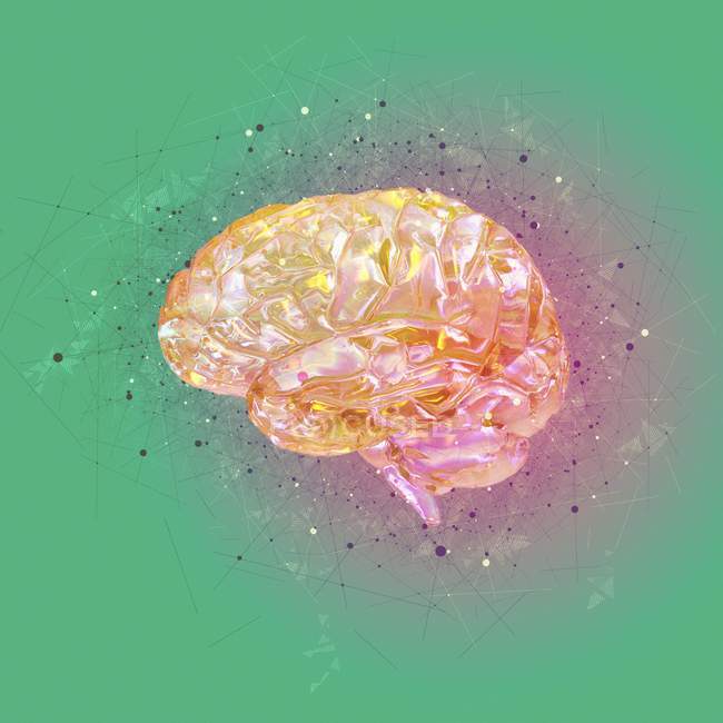 Концептуальная визуализация человеческого мозга — стоковое фото