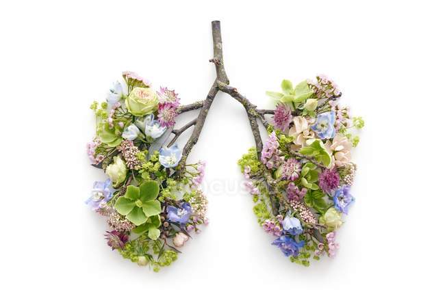 Spring flowers representing human lungs. — Stock Photo