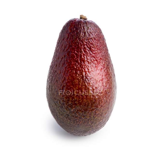 Красный авокадо на белом фоне . — стоковое фото