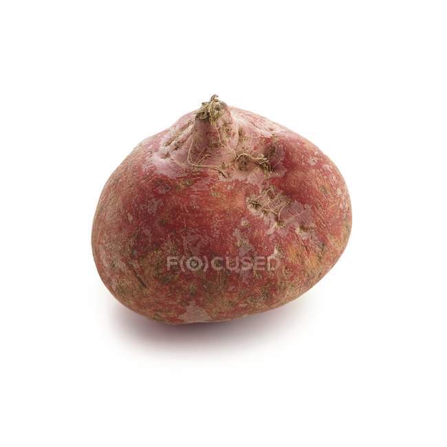 Close-up view of beetroot on white background. — Stock Photo