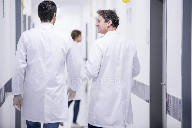 Médicos varones caminando por el pasillo . - foto de stock