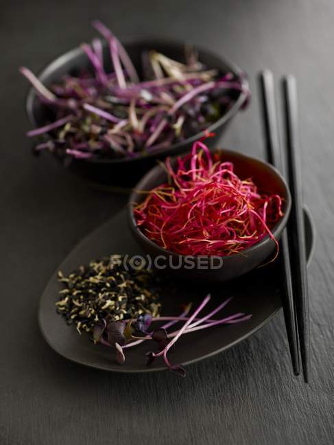 Sprouting beetroots, black beans, and purple cress in black bowls. — Stock Photo