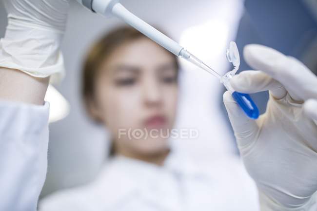 Female lab assistant using pipette, close-up. — Stock Photo