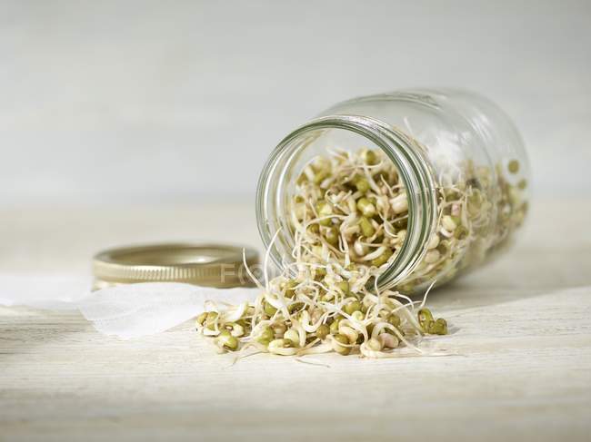 Sprouting mung beans spilling out from jar. — Stock Photo