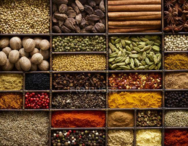Selection of dried spices in tray. — Stock Photo