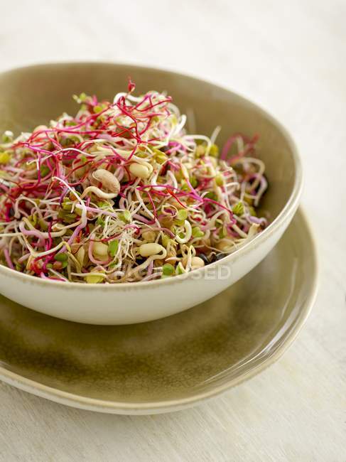 Sprouting beans in salad bowl. — Stock Photo