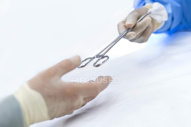 Enfermera pasando tijeras quirúrgicas al cirujano
. - foto de stock