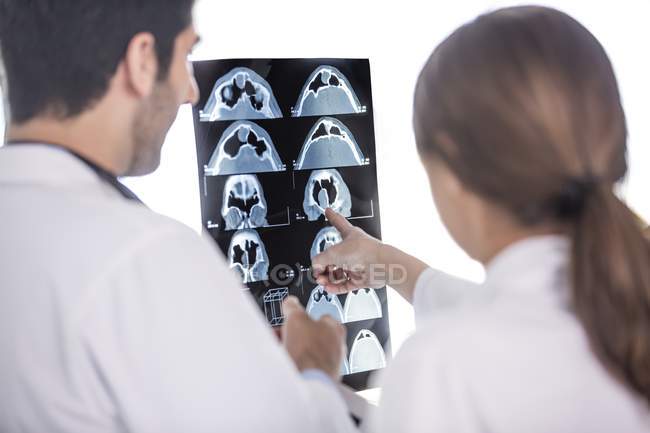 Médicos masculinos y femeninos mirando rayos X . - foto de stock