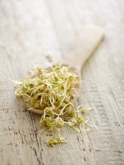 Sprouting buckwheat in spoon on table. — Stock Photo