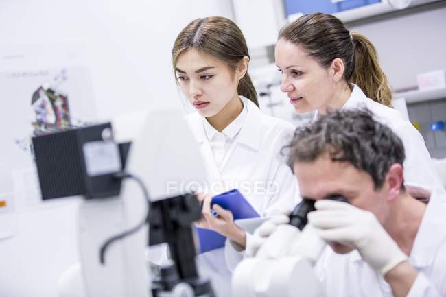 Científicos femeninos y masculinos trabajando en laboratorio . - foto de stock
