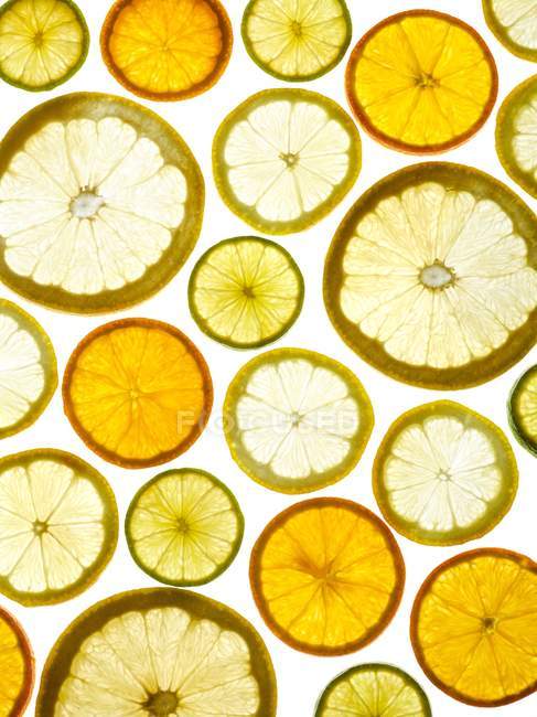 Citrus fruits cut into halves on white background. — Stock Photo
