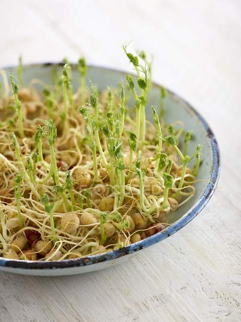 Sprouting chickpeas in dish on table. — Stock Photo