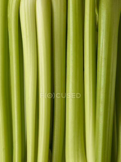 Close-up of celery stalks, full frame. — Stock Photo