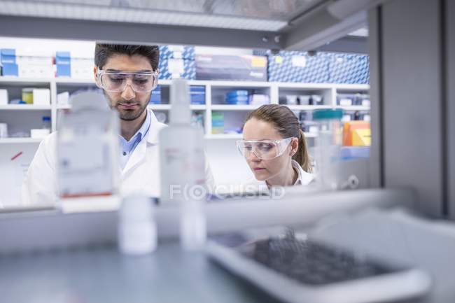 Laboratory assistants working in lab. — Stock Photo