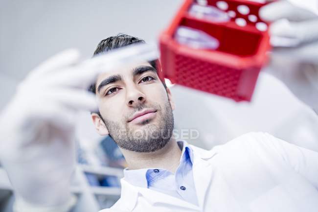 Assistente de laboratório masculino segurando rack de tubo de teste . — Fotografia de Stock