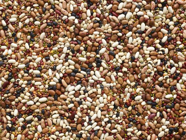 Close-up of mixed variety of beans. — Stock Photo