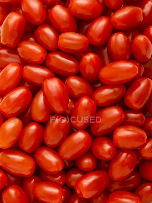Visão de close-up de tomates vermelhos, quadro completo . — Fotografia de Stock