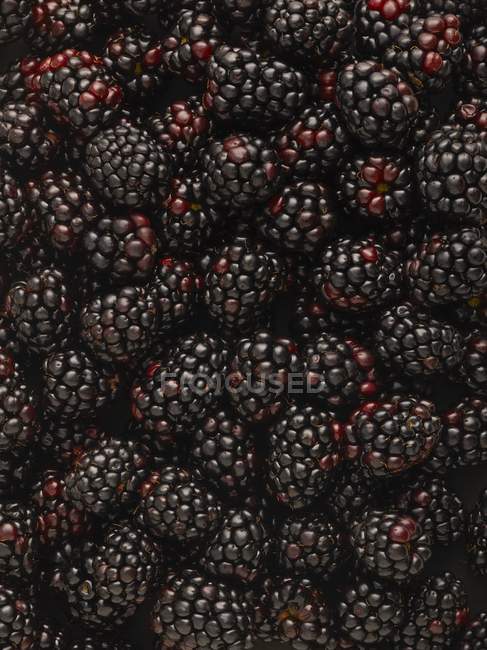 Close-up view of blackberries, full frame. — Stock Photo