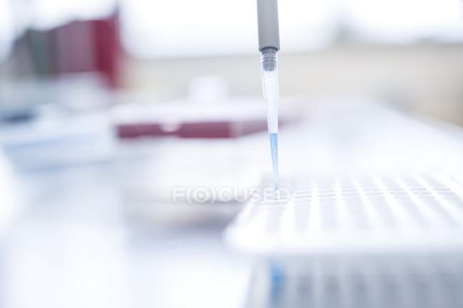 Close-up view of laboratory pipette. — Stock Photo