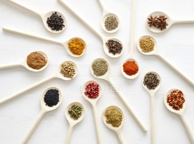 Dried spices in white spoons, studio shot. — Stock Photo