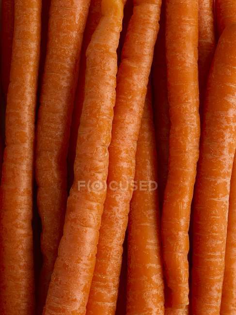 Vista de cerca de zanahorias, cuadro completo . - foto de stock