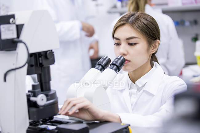 Científica femenina que utiliza microscopio en laboratorio. - foto de stock