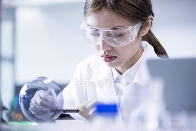 Ayudante de laboratorio femenina usando equipo
. - foto de stock