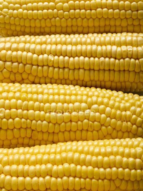 Крупним планом вид на жовту солодку кукурудзу, повна рамка . — стокове фото