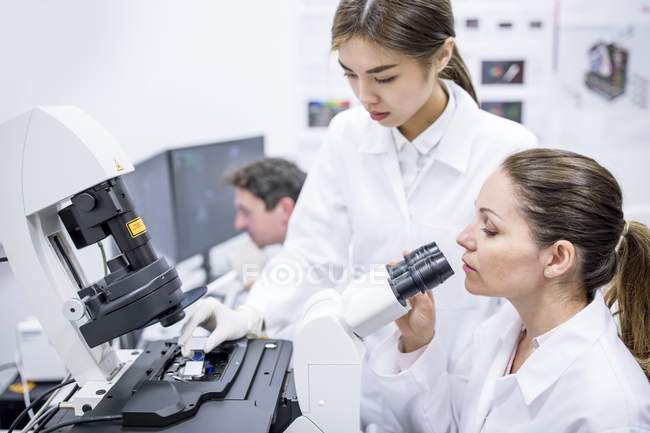 Científicas trabajando en laboratorio
. - foto de stock
