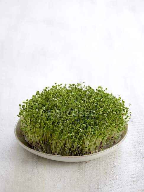 Sprouting broccoli in dish on white table. — Stock Photo