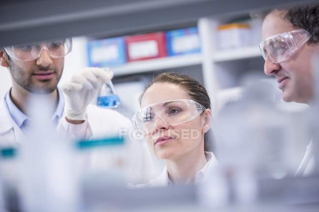 Asistentes de laboratorio mirando el matraz químico
. - foto de stock