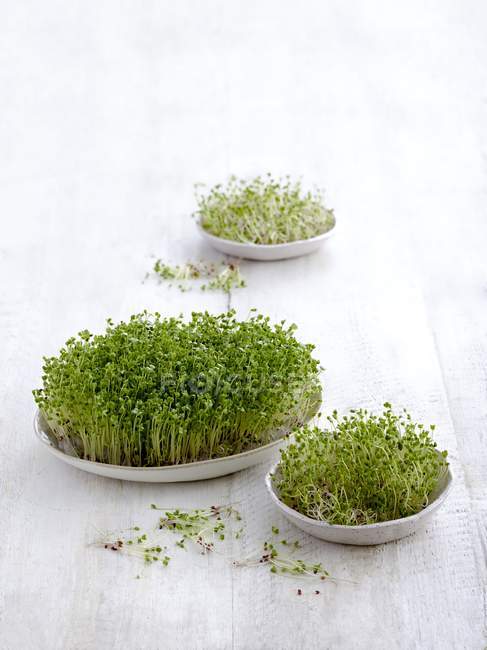 Sprouting broccoli in dishes on white table. — Stock Photo