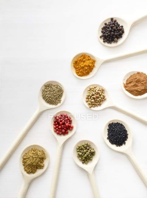 Dried spices in white spoons, studio shot. — Stock Photo