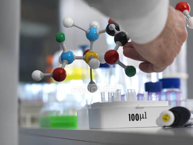 Investigador que diseña fórmula química con modelo molecular . - foto de stock