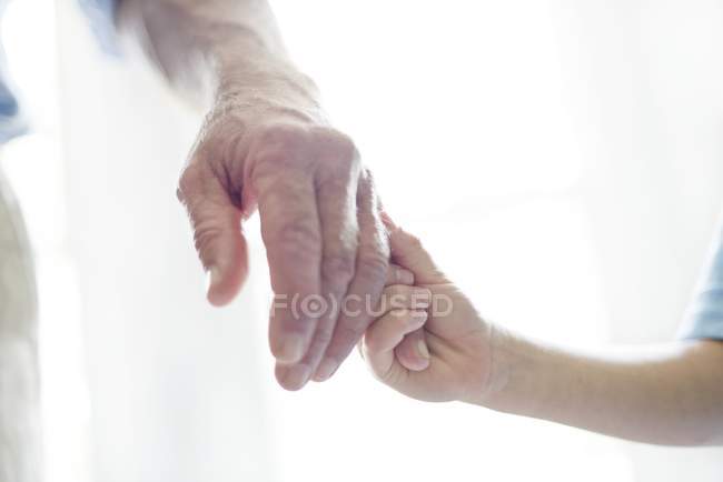 Child holding grandparent hand on white background. — Stock Photo