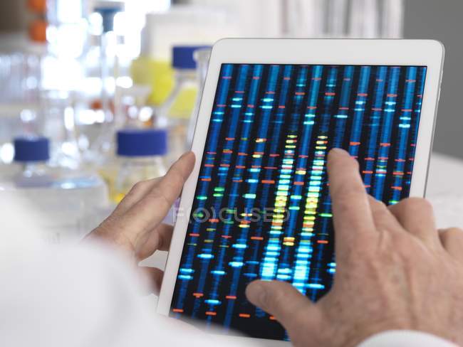 Вчений переглядає результати генетичного тесту на цифровому планшеті . — стокове фото