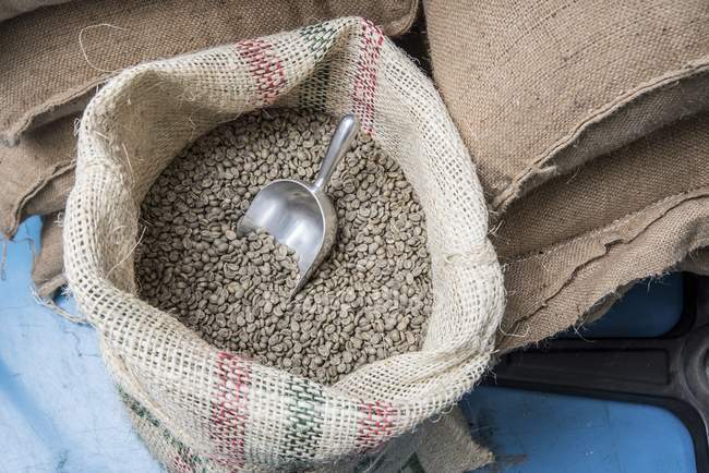 Sacos de granos de café en el almacén . - foto de stock