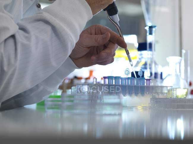 Wissenschaftler pipettiert Proben im Labor in Reagenzgläser. — Stockfoto