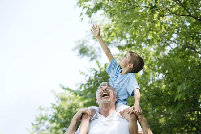 Grandfather carrying grandson on shoulders and boy reaching to leaves. — Stock Photo