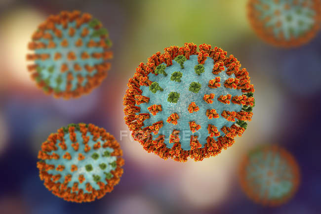 Ilustración digital de picos de glicoproteína hemaglutinina y neuraminidasa en el virus de la gripe
. - foto de stock