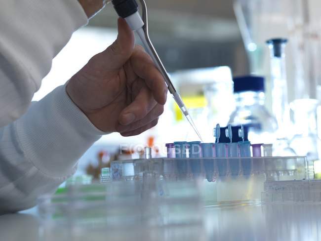 Wissenschaftler pipettiert Proben im Labor in Reagenzgläser. — Stockfoto