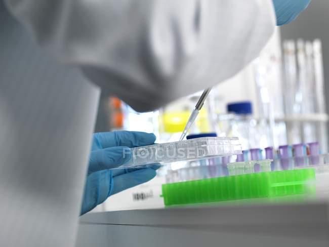 Scientifique pipettant des échantillons dans une plaque multi-puits pour des tests automatisés en laboratoire . — Photo de stock