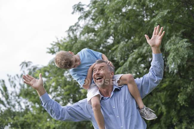 Дедушка носит внука на плечах с вытянутыми руками . — стоковое фото