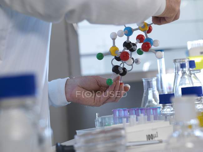 Investigador que diseña fórmula química con modelo molecular
. - foto de stock