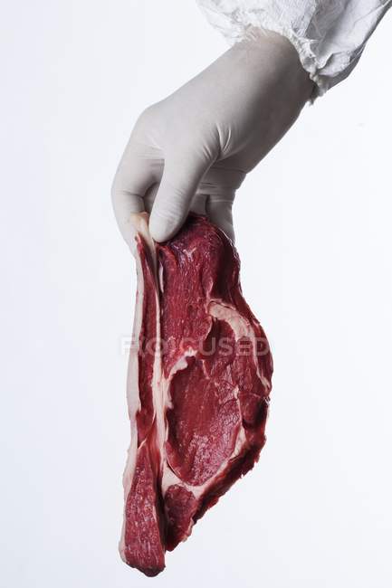 Рука в латексній рукавичці, що тримає сире м'ясо — стокове фото