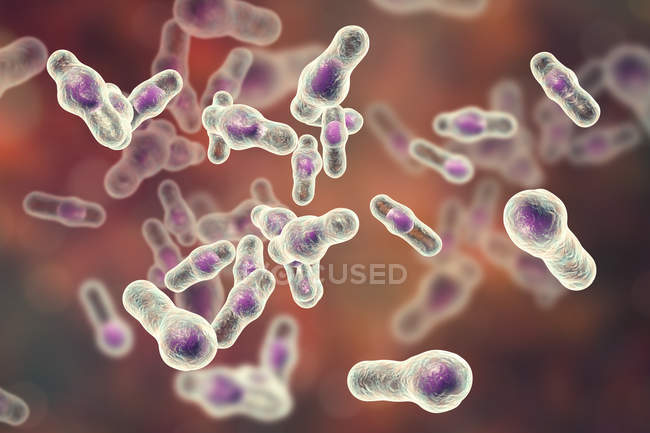 Цифровая иллюстрация сложных бактерий клостридия
. — стоковое фото