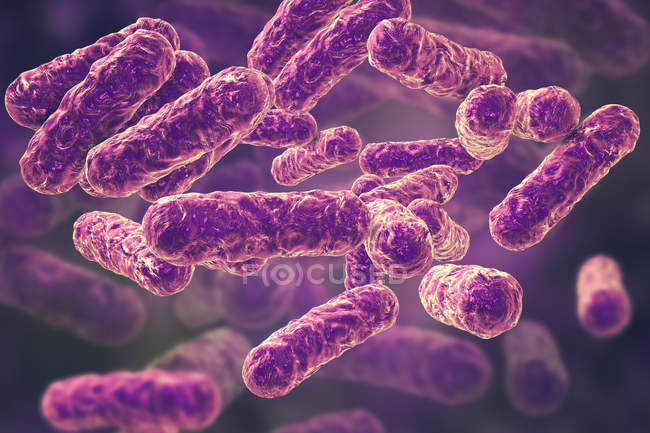 Bartonella henselae bacteria, ilustración digital . - foto de stock