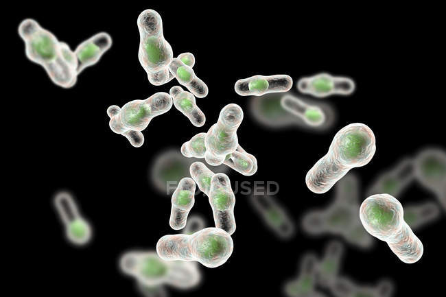 Цифровий ілюстрація бактерій clostridium незговірливий. — стокове фото