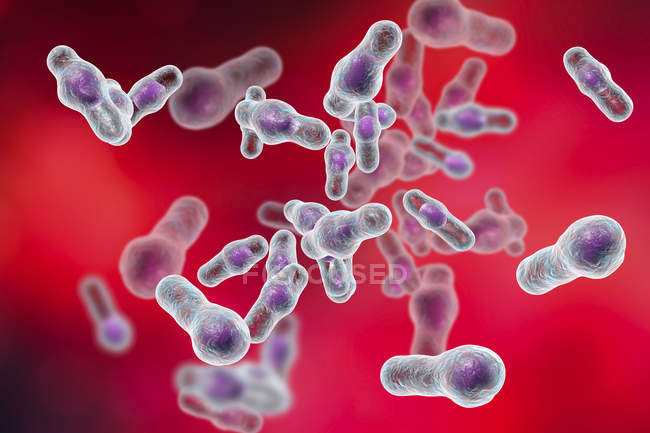 Digitale Illustration von Clostridium difficile Bakterien. — Stockfoto