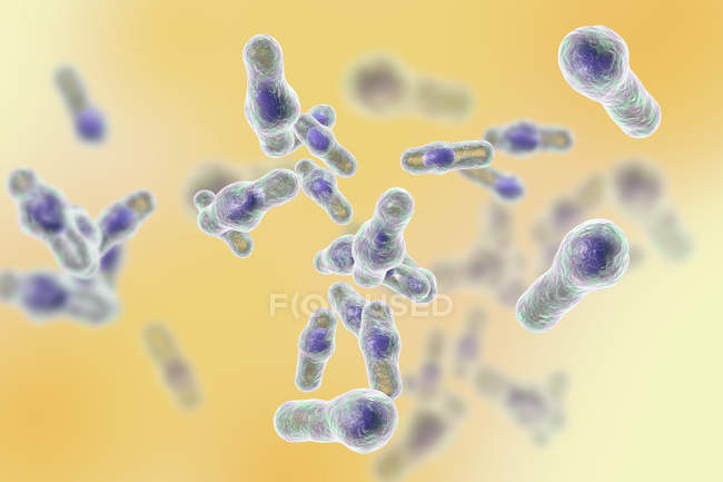 Цифровая иллюстрация сложных бактерий клостридия . — стоковое фото